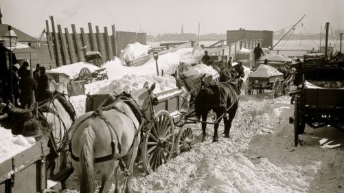 1888-snow-carriages